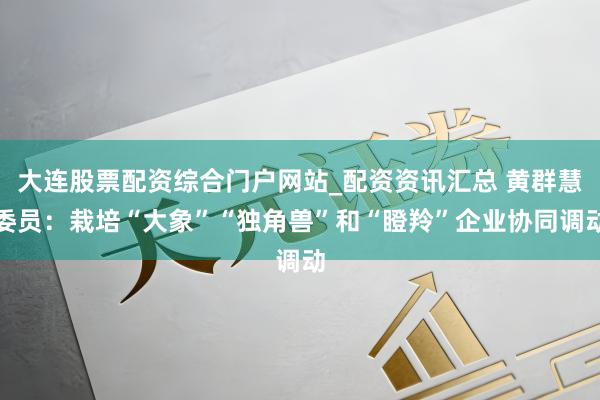 大连股票配资综合门户网站_配资资讯汇总 黄群慧委员：栽培“大象”“独角兽”和“瞪羚”企业协同调动